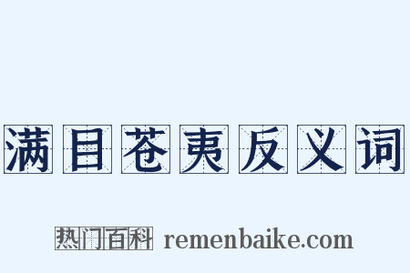 满目苍夷反义词是什么意思的图片